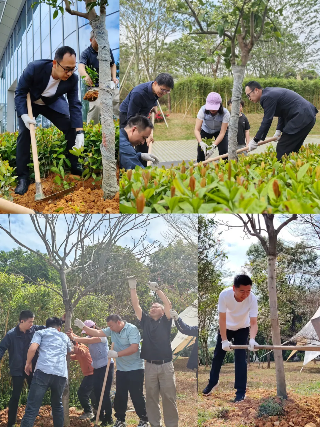 640-3.webp 640-3.webp