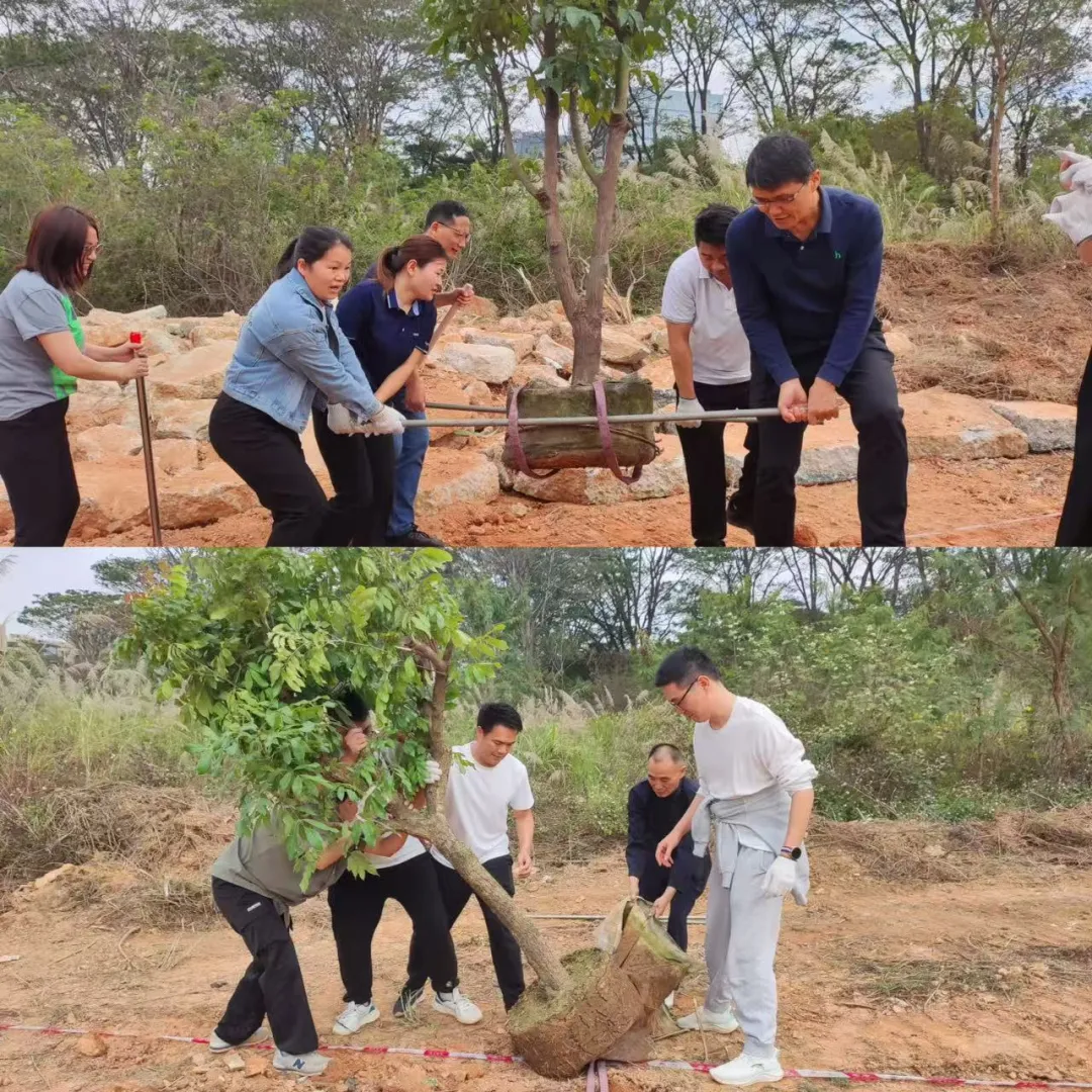 640-4.webp 640-4.webp