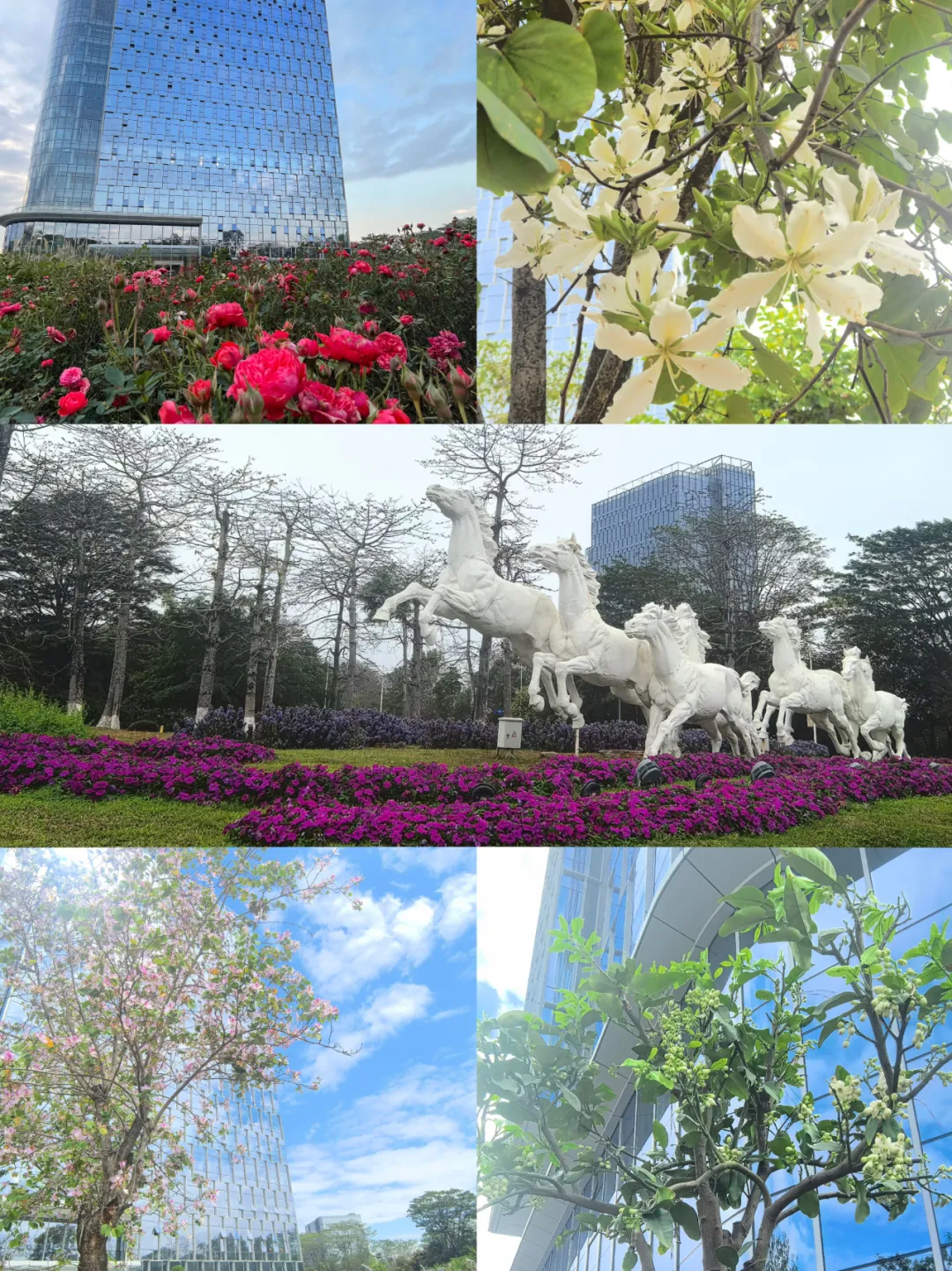 640-6.webp 640-6.webp